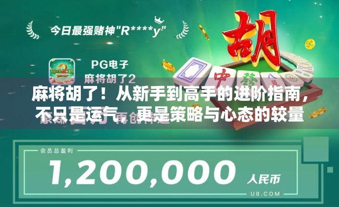 麻将胡了！从新手到高手的进阶指南，不只是运气，更是策略与心态的较量