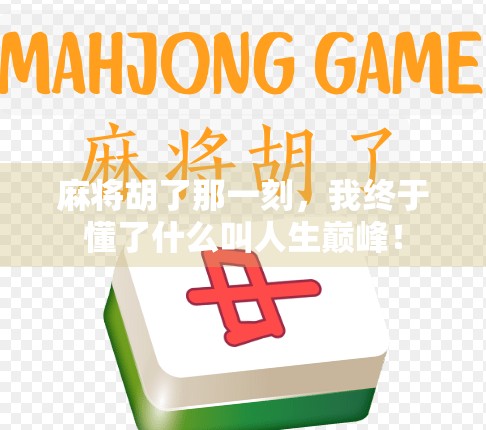 麻将胡了那一刻，我终于懂了什么叫人生巅峰！